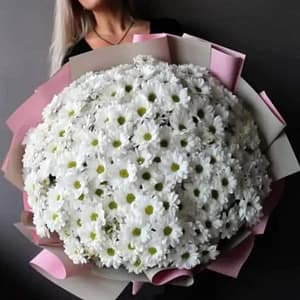 White Daisies Round Bouquet
